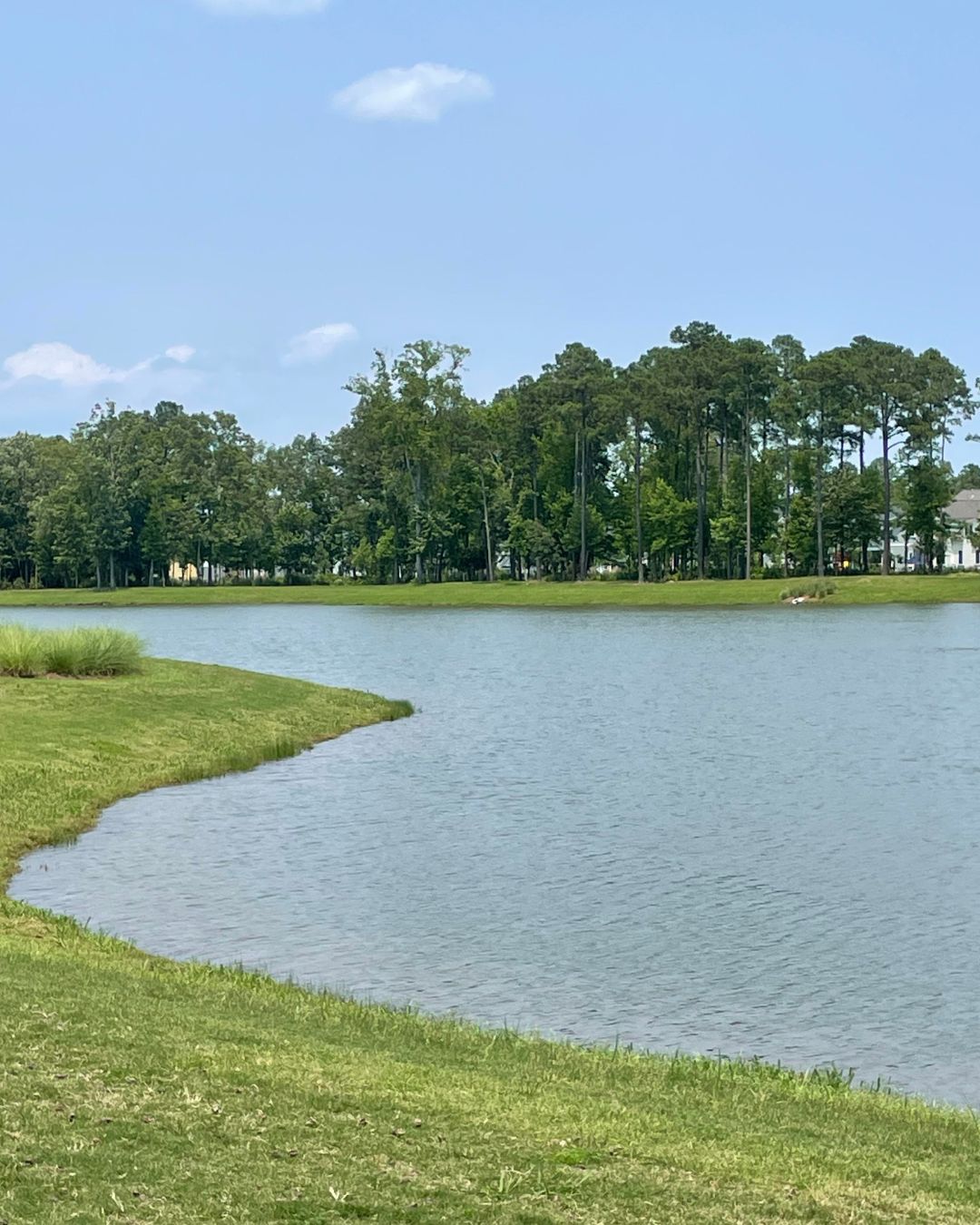 Untitled design (46)